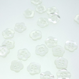 Bouton fleur blanc