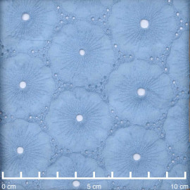 Tissu coton brodé et ajouré bleu ciel à motif fleuri | pretty mercerie | mercerie en ligne